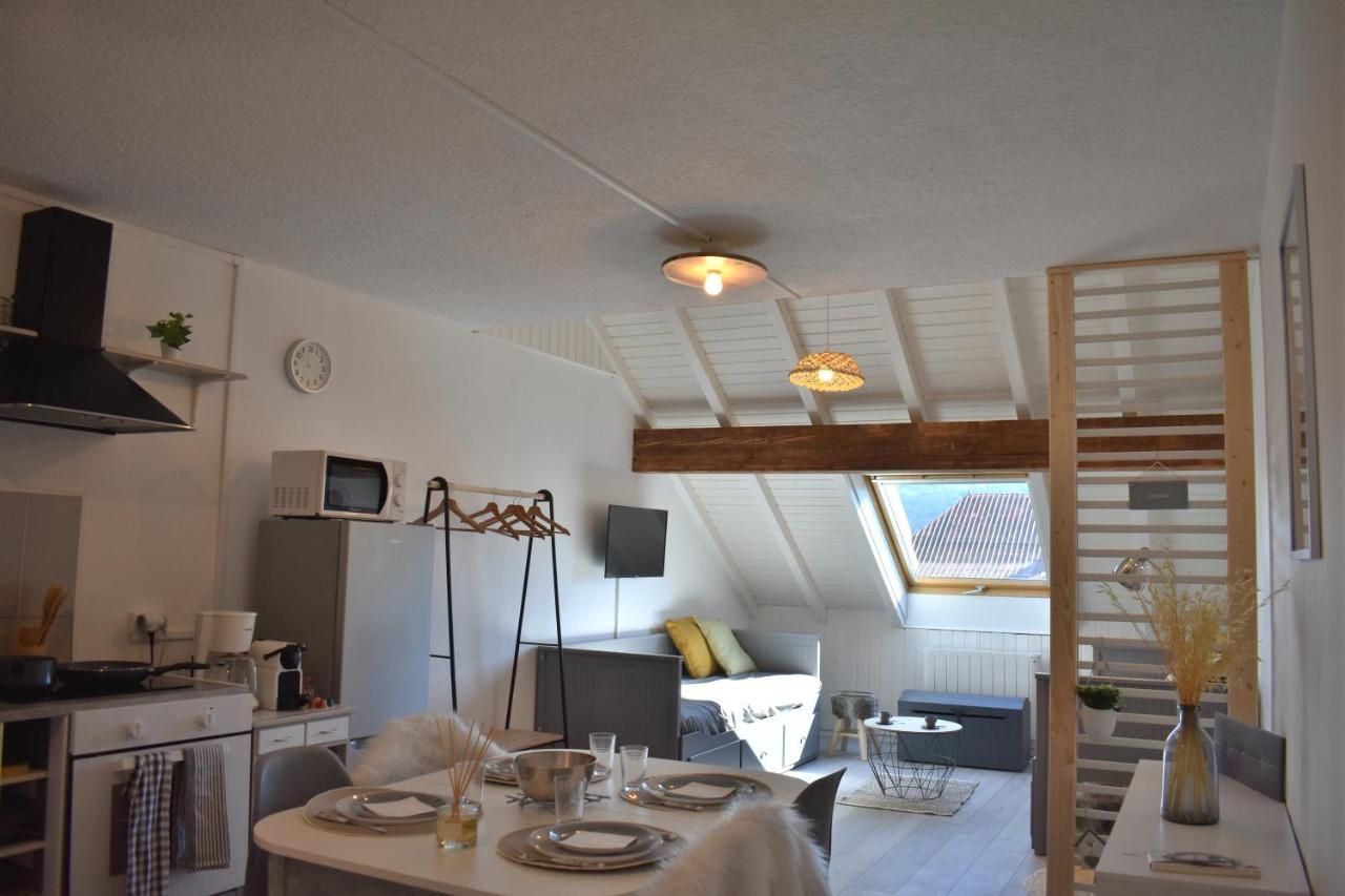Charmant Studio, Le Petit Gris Des Montagnes Mouthe Kültér fotó